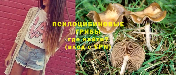молекула духа Алзамай
