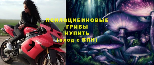 прущие грибы Алексин